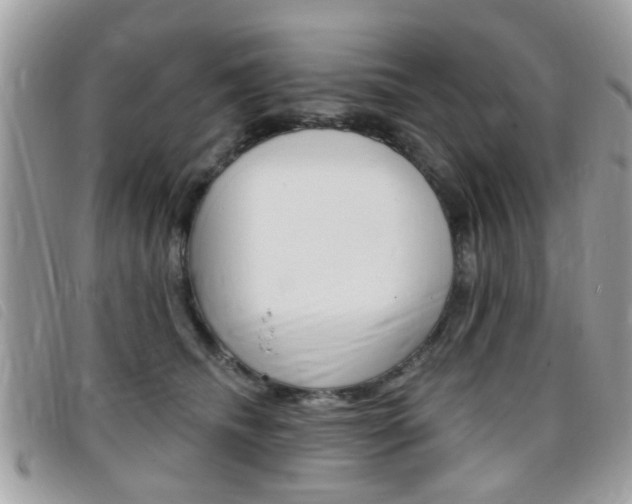 X0000095900468200801110809