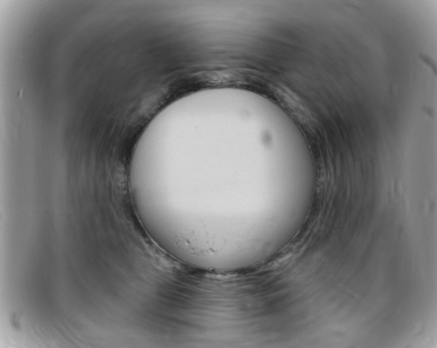 X0000095900469200801110809