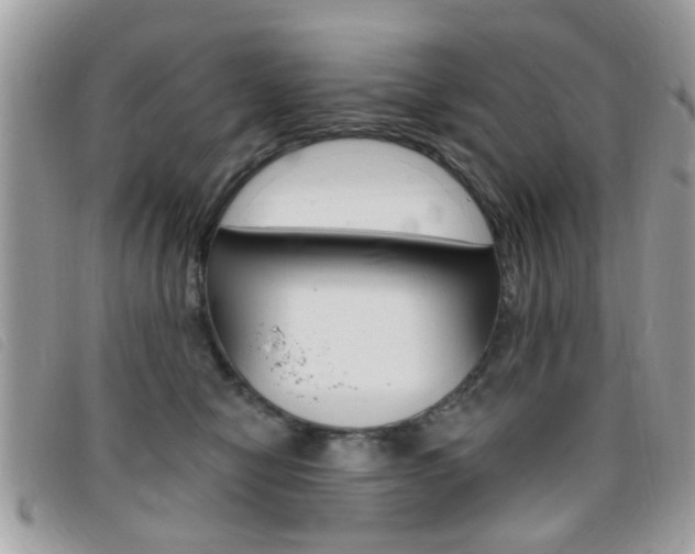 X0000095900470200801110809