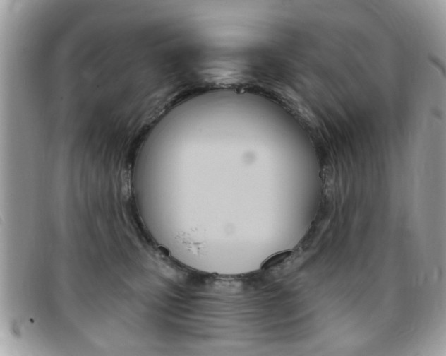 X0000095900471200801110809