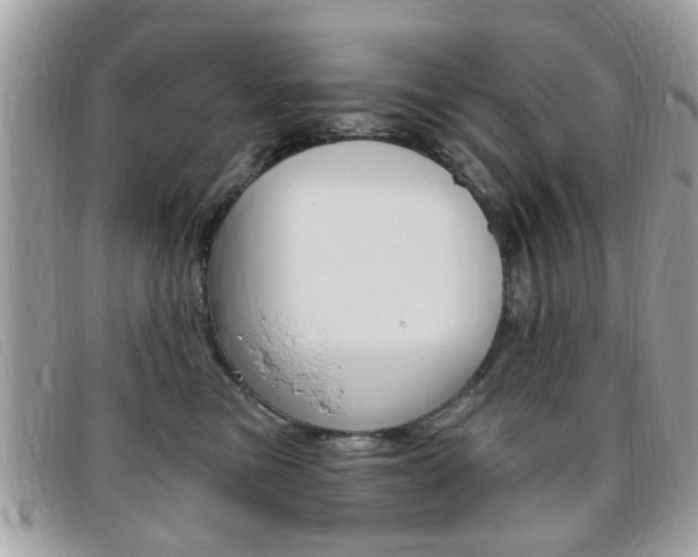 X0000095900473200801110809