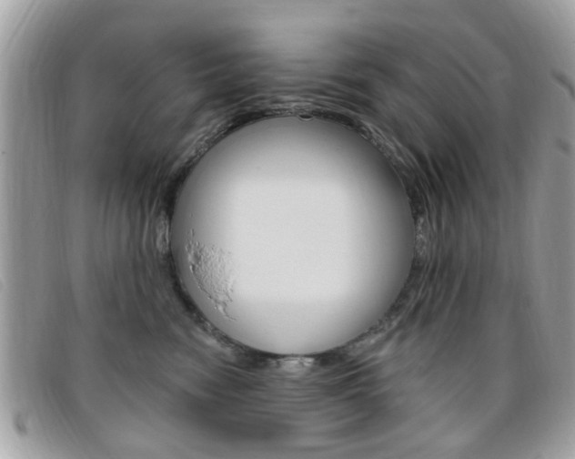 X0000095900474200801110809