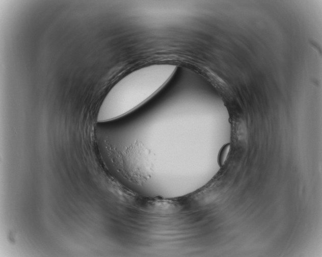 X0000095900475200801110809