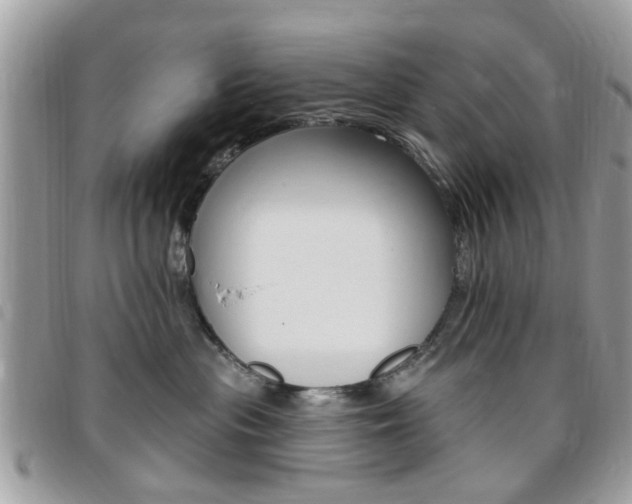 X0000095900477200801110809