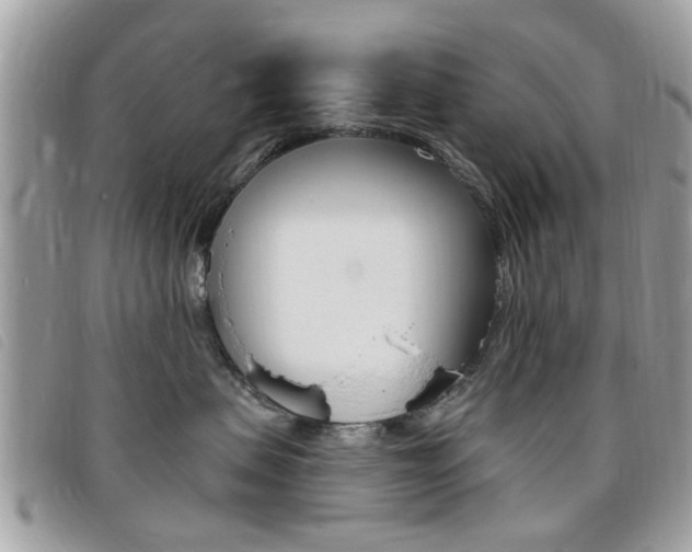 X0000095900479200801110809