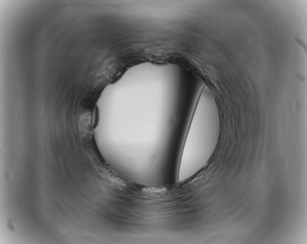X0000095900480200801110809