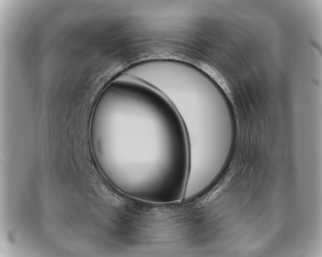 X0000095900481200801110808