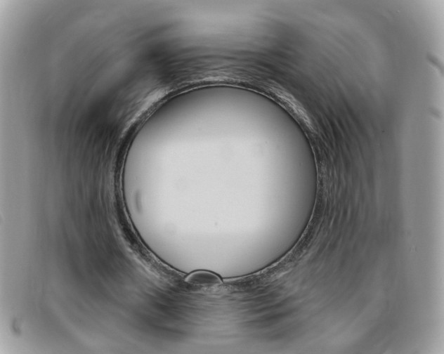 X0000095900482200801110808