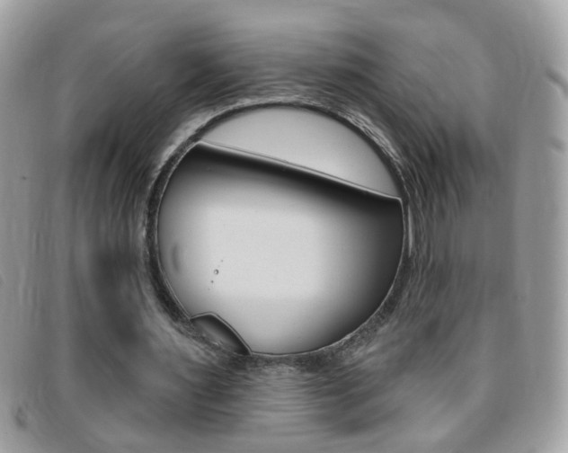 X0000095900483200801110808