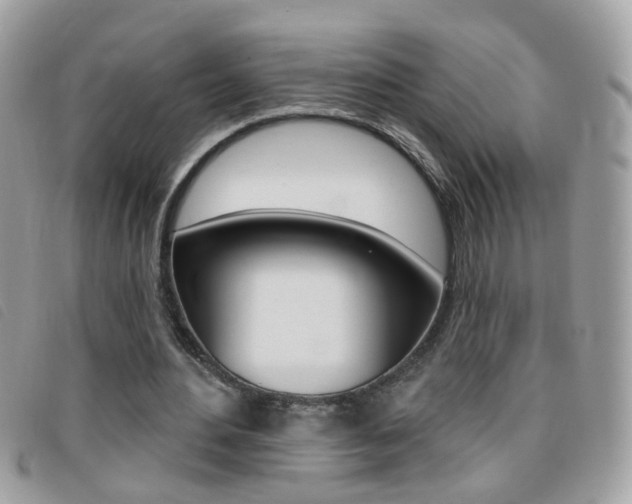 X0000095900484200801110808