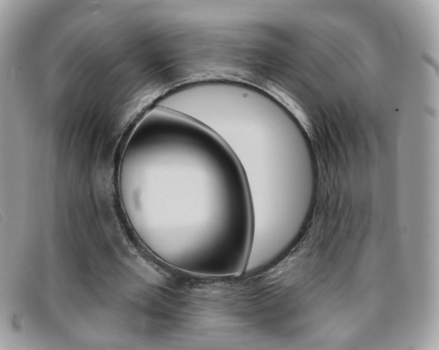 X0000095900485200801110808