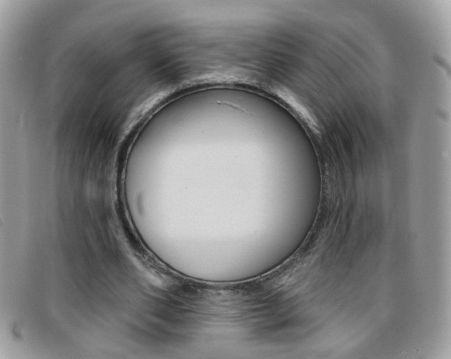 X0000095900486200801110808