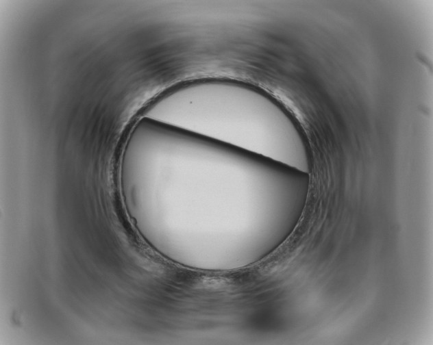 X0000095900487200801110808