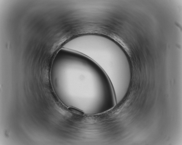 X0000095900489200801110808