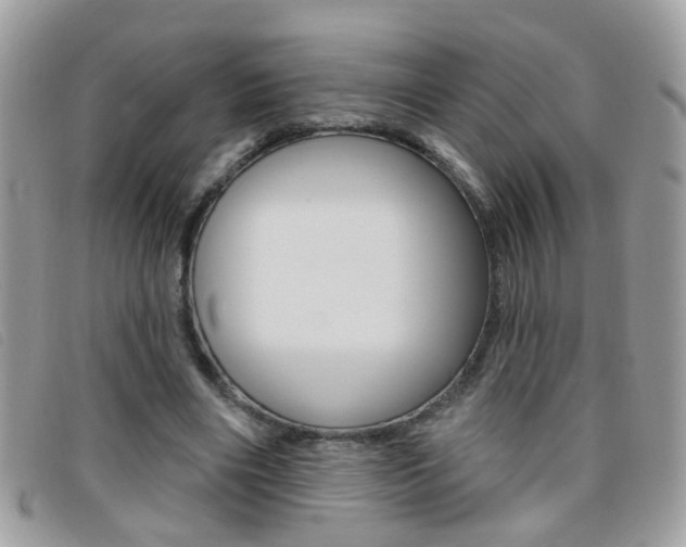 X0000095900490200801110808