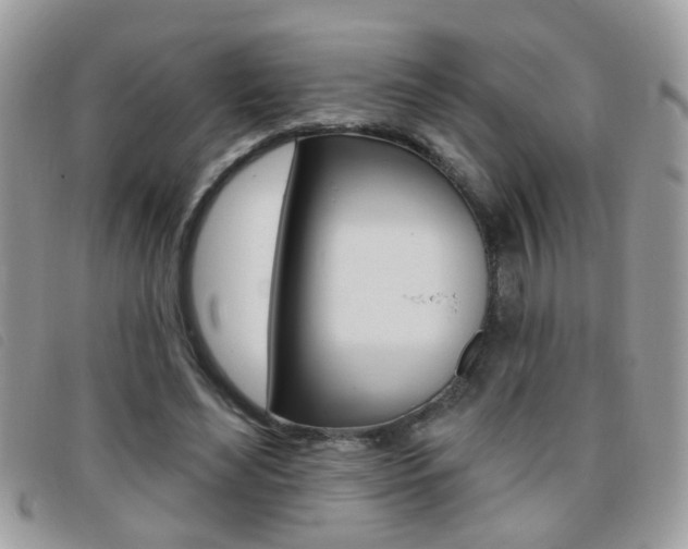 X0000095900492200801110808