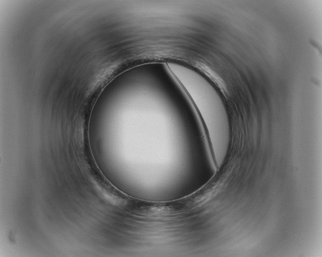 X0000095900493200801110808