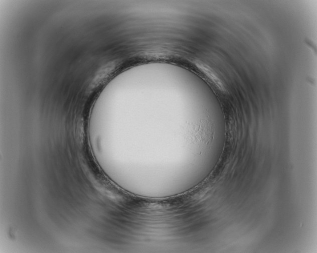 X0000095900494200801110808