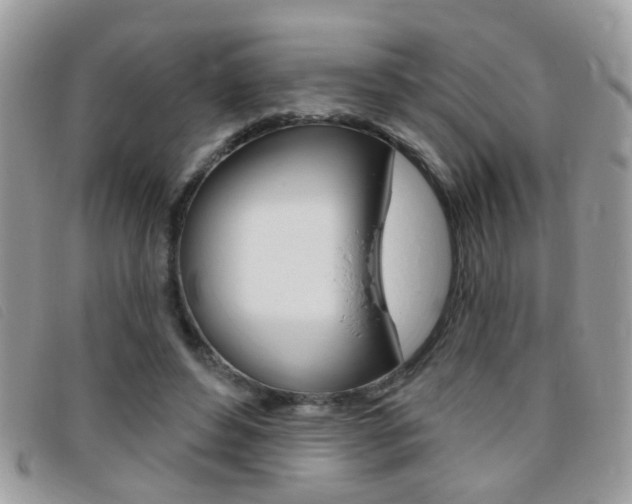 X0000095900496200801110808