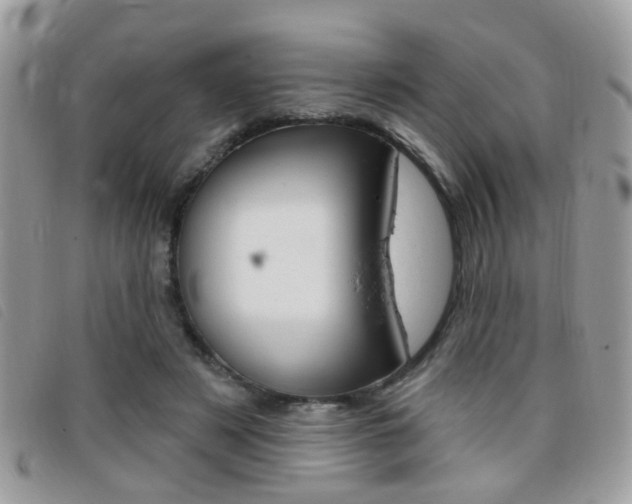 X0000095900497200801110808