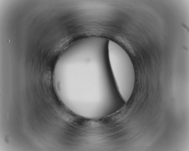 X0000095900498200801110808
