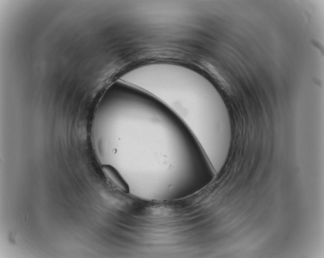 X0000095900500200801110808
