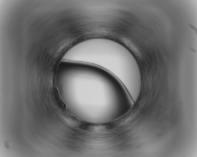 X0000095900501200801110808