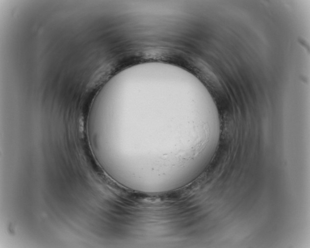 X0000095900502200801110808