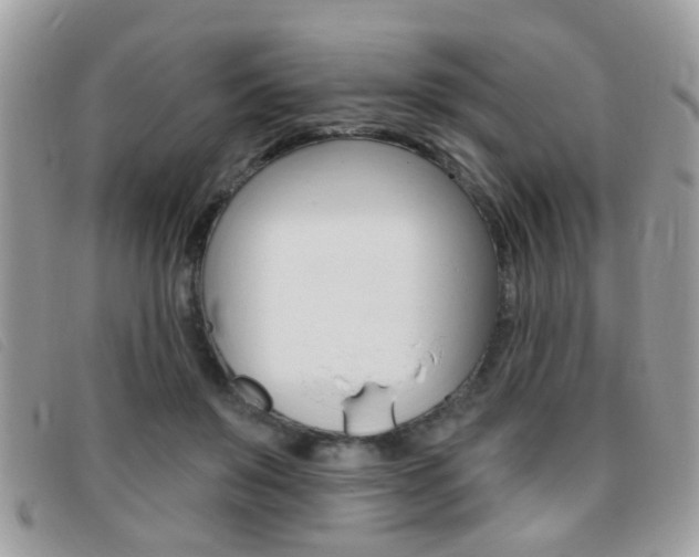 X0000095900503200801110808