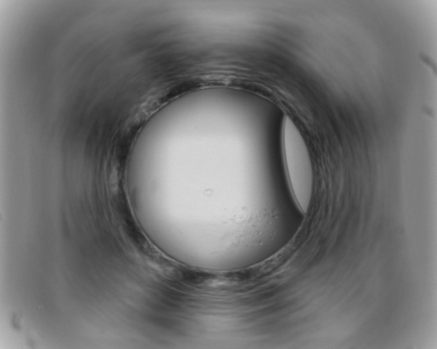 X0000095900504200801110808