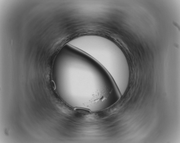 X0000095900505200801110808