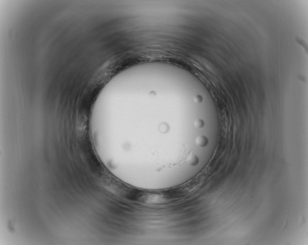 X0000095900507200801110808