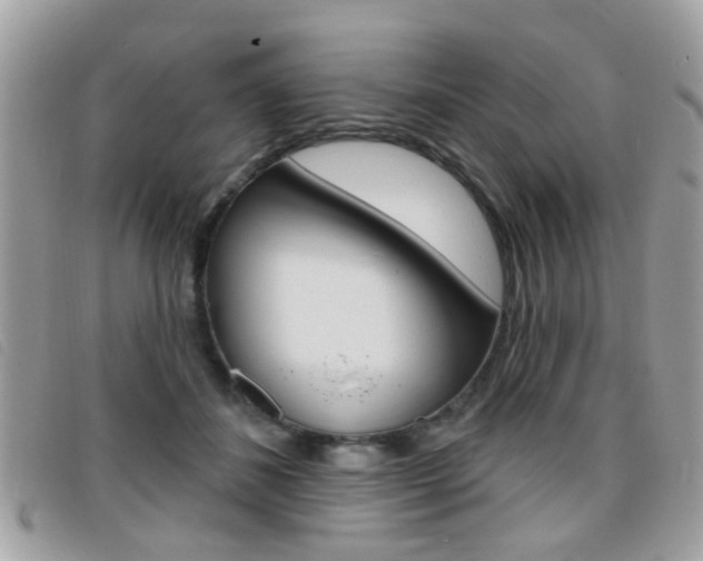 X0000095900508200801110808
