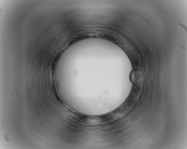 X0000095900510200801110808