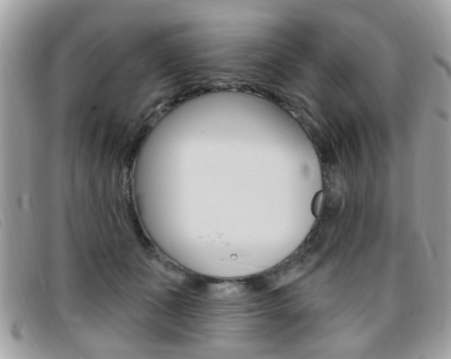 X0000095900511200801110808