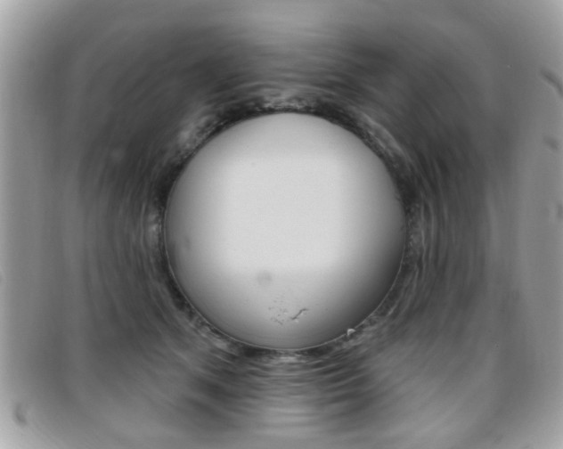 X0000095900513200801110808