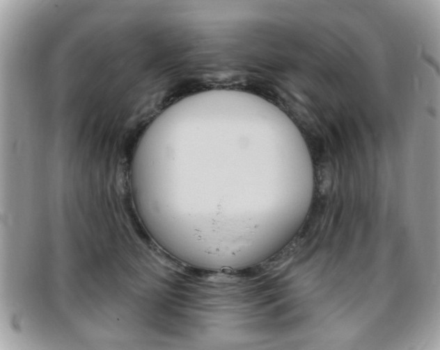 X0000095900515200801110808