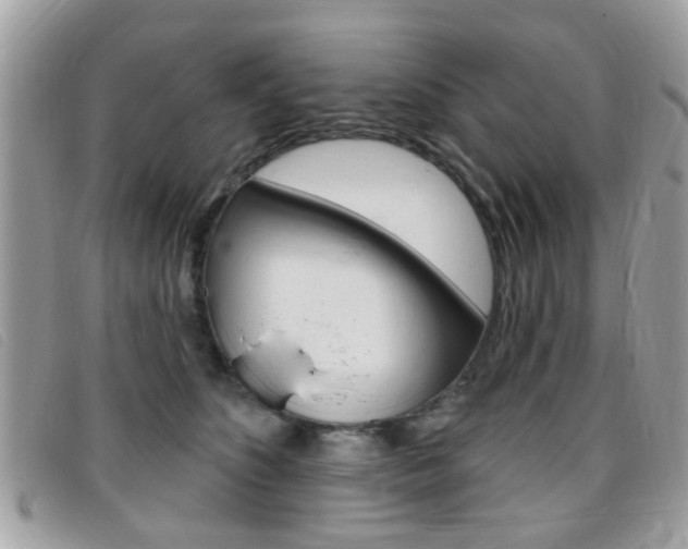 X0000095900516200801110808
