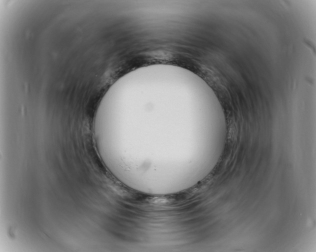X0000095900518200801110807