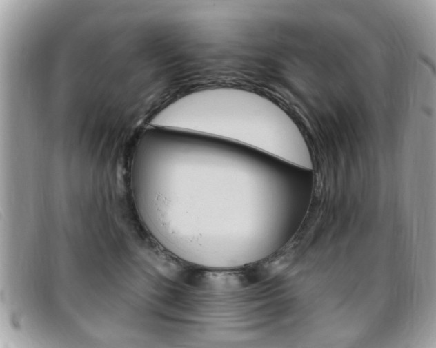 X0000095900520200801110807