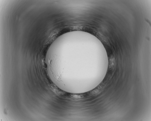 X0000095900522200801110807