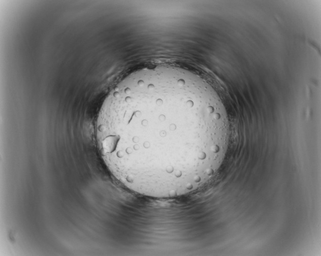 X0000095900523200801110807