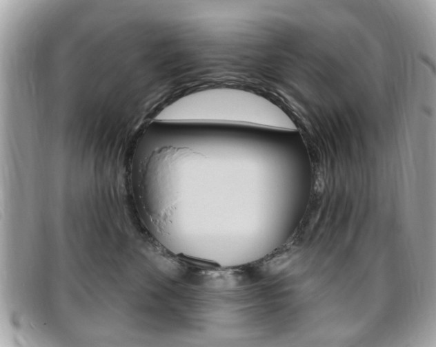 X0000095900524200801110807