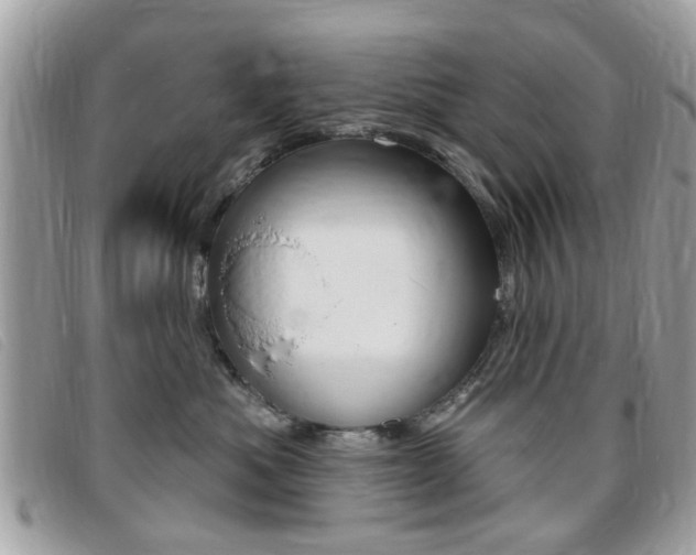 X0000095900525200801110807