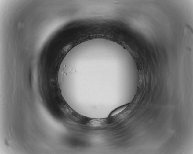 X0000095900526200801110807