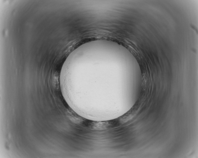 X0000095900527200801110807