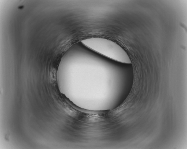 X0000095900528200801110807