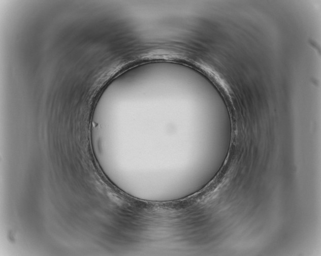 X0000095900529200801110807