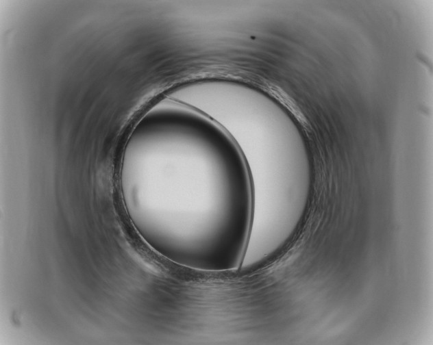 X0000095900530200801110807