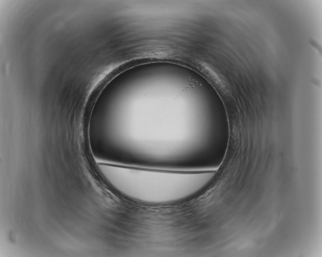 X0000095900532200801110807